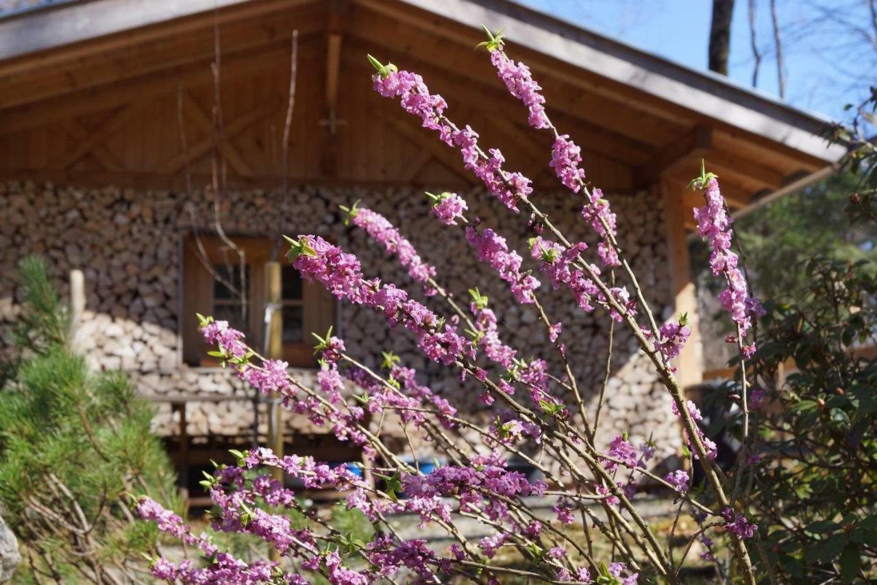 Ferienhaus Waldwinkl 호텔 그라이나우 외부 사진